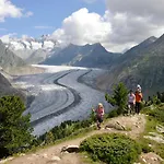 Granit Parterre بيتميرلاب